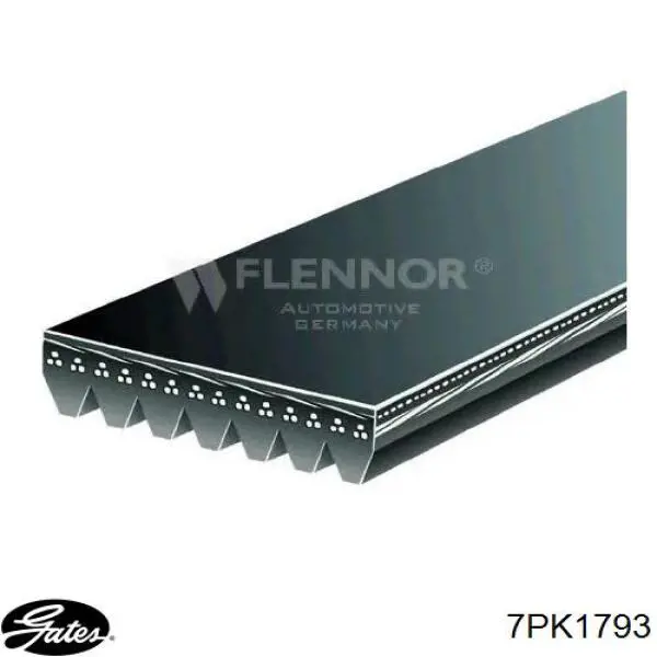 Correa de alternador 7PK1793 Gates