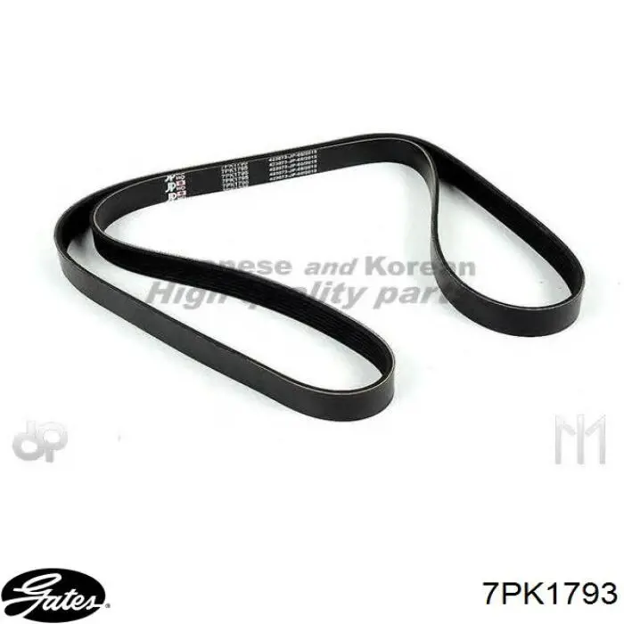 Comprar 7PK1793 Gates Correa trapezoidal