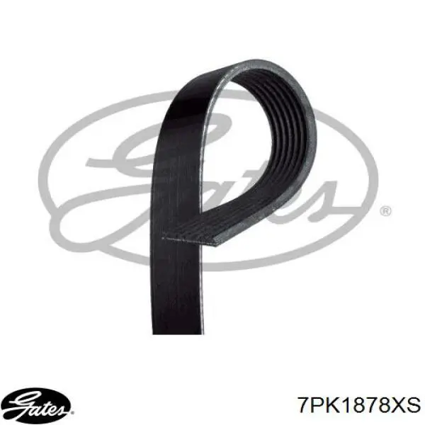 Correa de transmisión trapezoidal Gates 7PK1878XS precio, desde 35,19 EUR