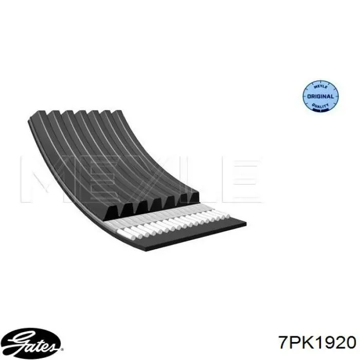 Comprar 7PK1920 Gates Correa trapezoidal