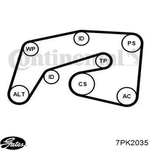 Comprar A0019937596 Mercedes Correa trapezoidal