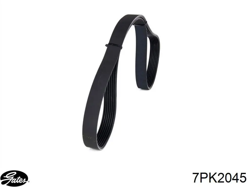 Comprar 8200808652 Renault (RVI) Correa trapezoidal