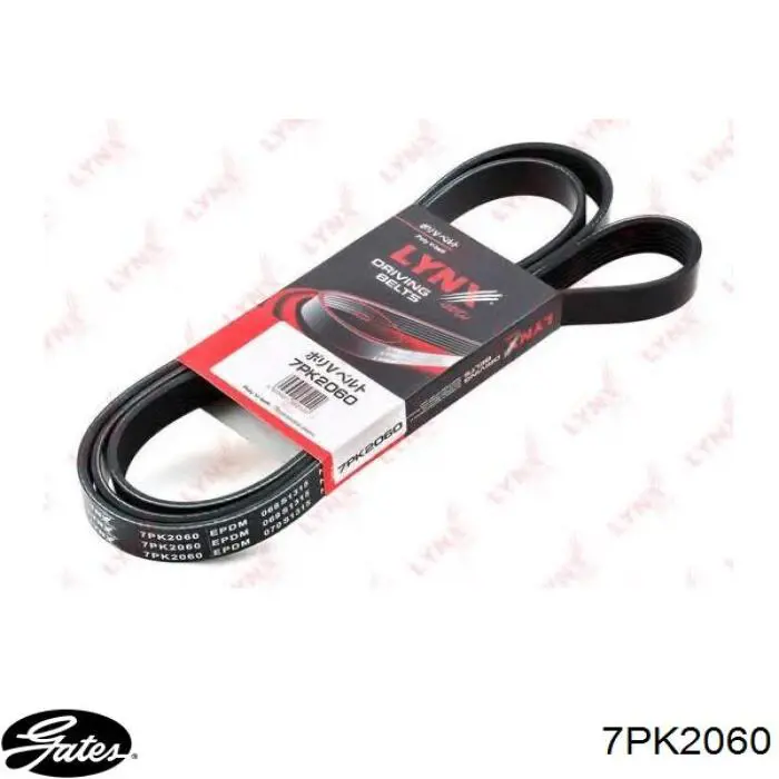 Correa de transmisión trapezoidal Honda 31110RWK003 precio, desde 29,71 EUR