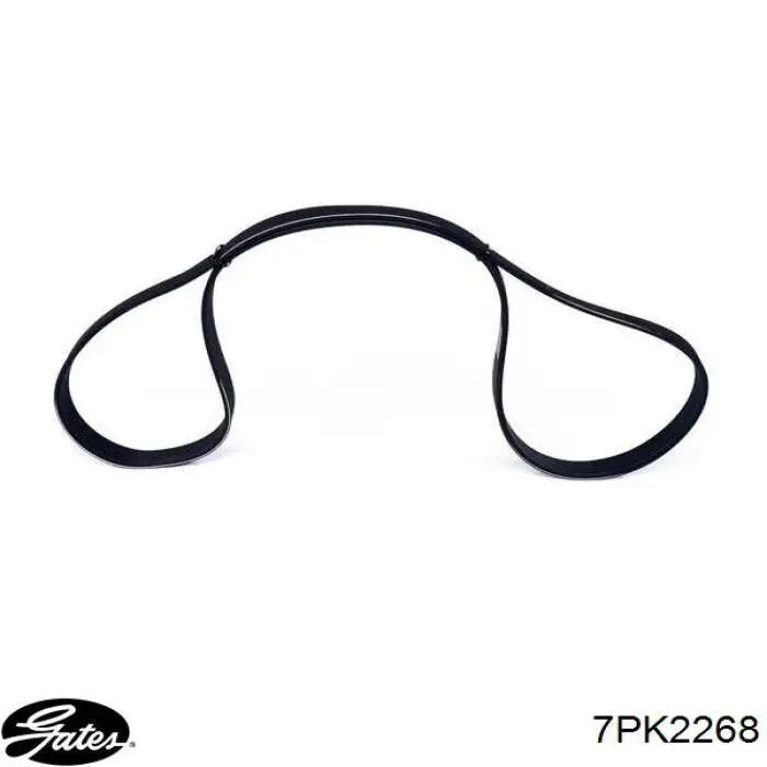 Correa accesorios Hyundai/Kia 252124A100