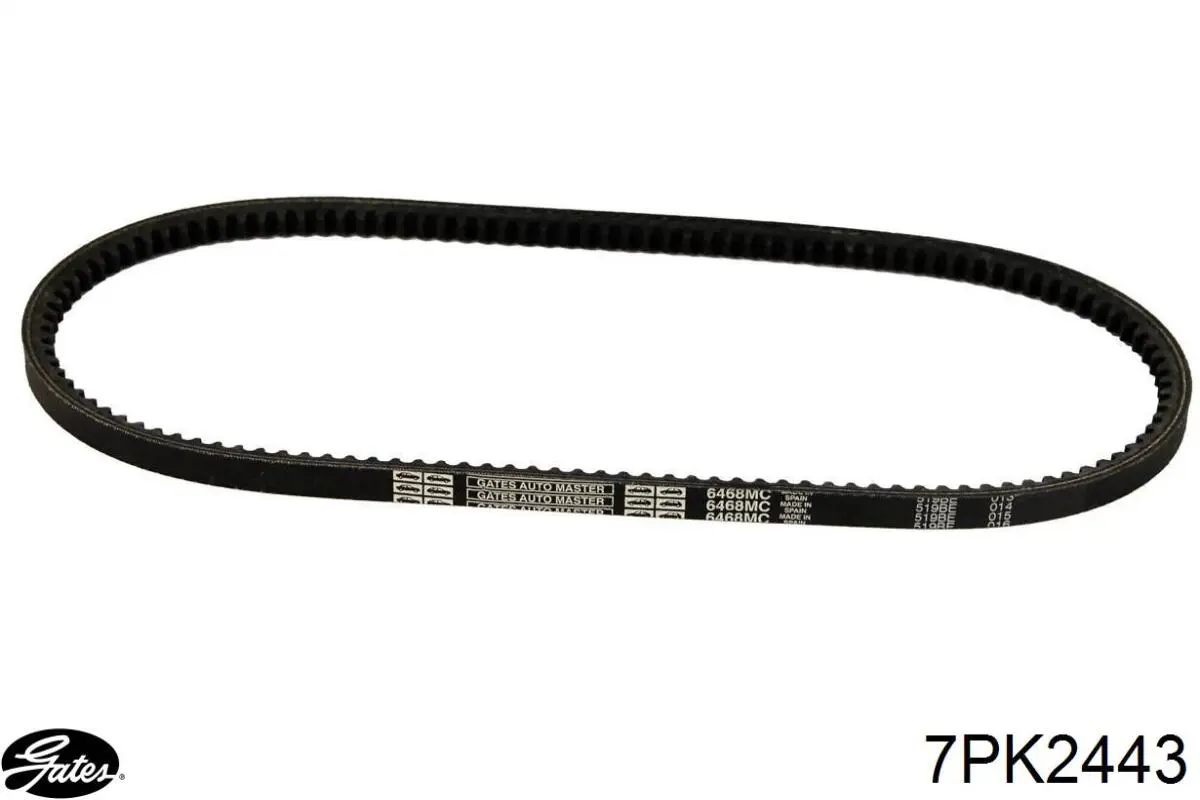 Comprar Correa de alternador Nissan Patrol  Y62