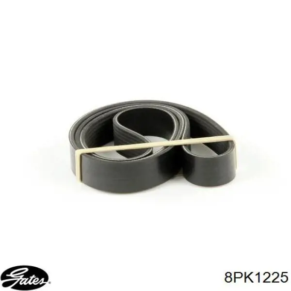 Correa de transmisión trapezoidal Mazda RF7L15909 precio, desde 20,48 EUR