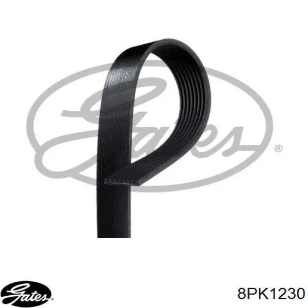 5802350474 Iveco Correa poly v