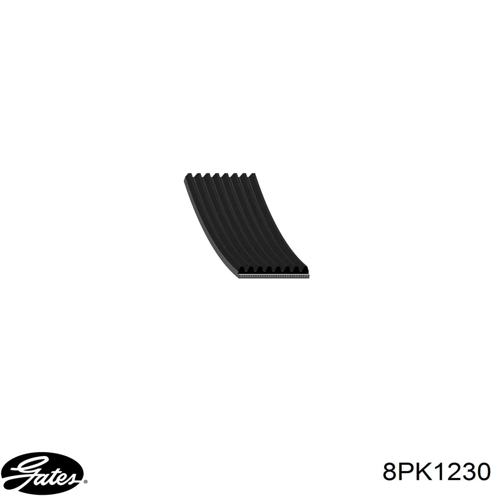 Correa de transmisión trapezoidal Iveco 5802350474 precio, desde 20,12 EUR