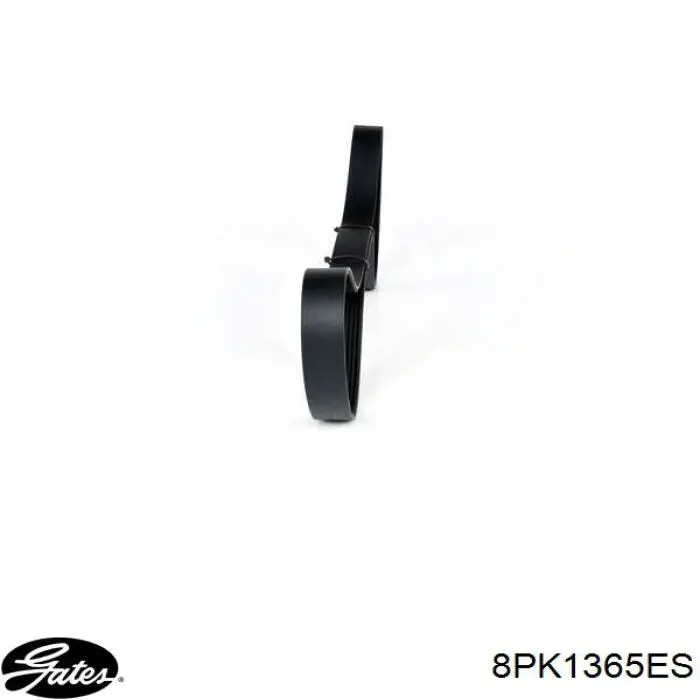 Correa de alternador 8PK1367HD Dayco