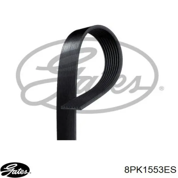 Correa de alternador 7422670505 Renault (RVI)