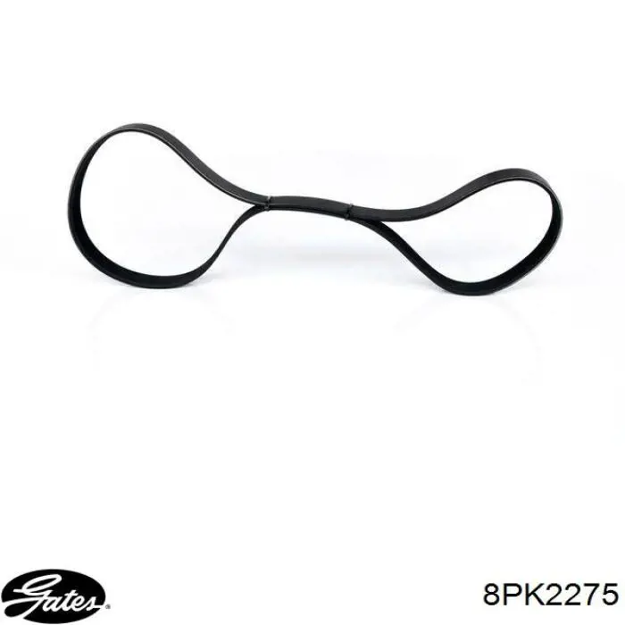Comprar 4864599 Chrysler Correa trapezoidal