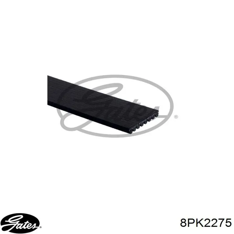 Correa de transmisión trapezoidal Chrysler 4864599 precio, desde 26,21 EUR