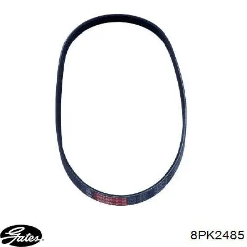 Comprar 8PK2485 Gates Correa trapezoidal