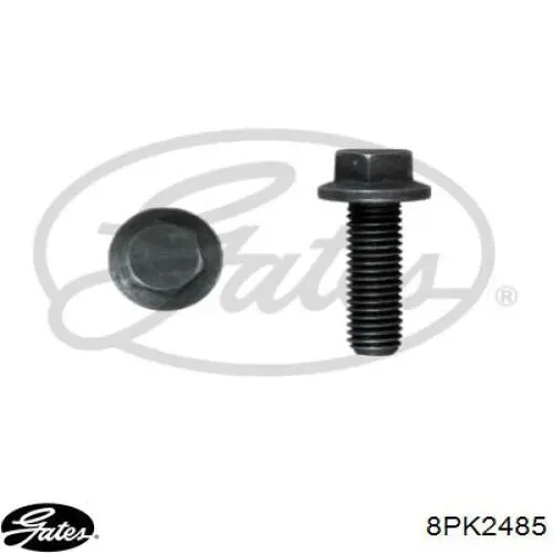Correa de alternador 8PK2485 Gates