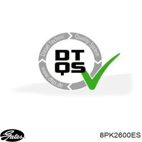 8PK2604 Continental/Siemens Correa poly v