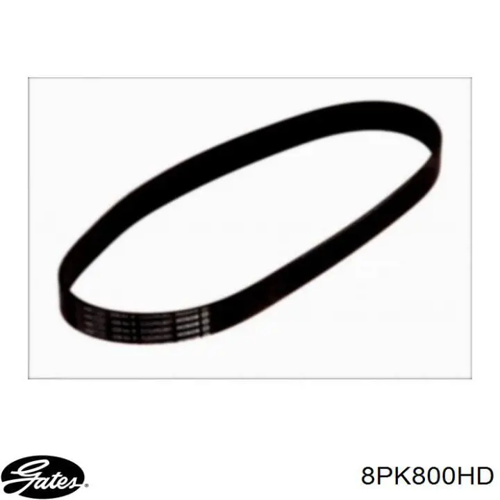 Comprar 221078 Diesel Technic Correa trapezoidal