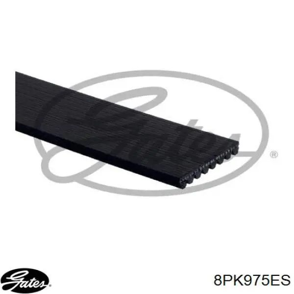 8PK975ES Gates correa trapezoidal