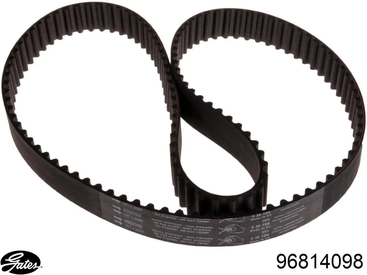 Comprar 94241 Dayco Correa distribución
