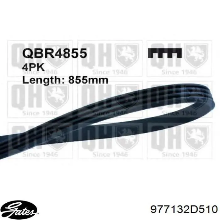 Comprar 46451652 Fiat/Alfa/Lancia Correa trapezoidal