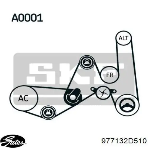 Correa de alternador 46451652 Fiat/Alfa/Lancia