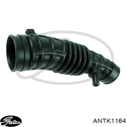 Conducto de aire, salida del filtro de aire Gates ANTK1164 precio, desde 14,99 EUR