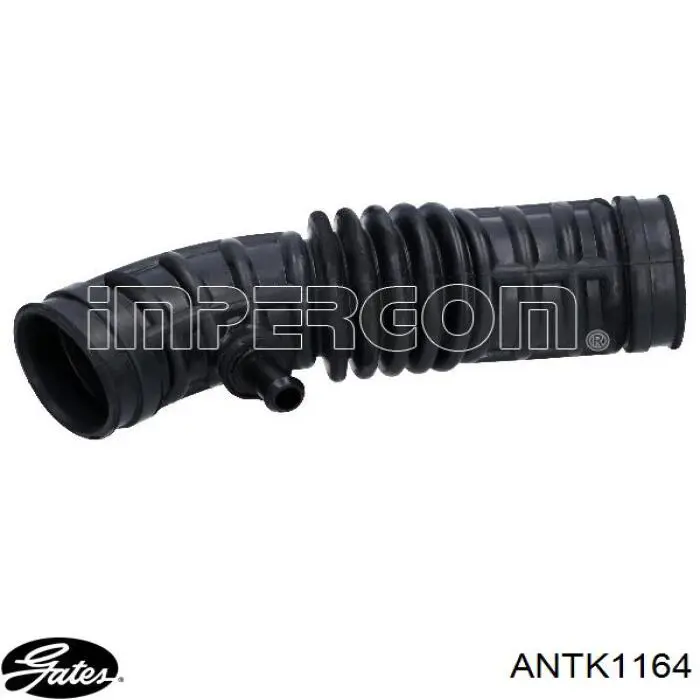 Conducto de aire, salida del filtro de aire Gates ANTK1164 precio, desde 19,65 EUR