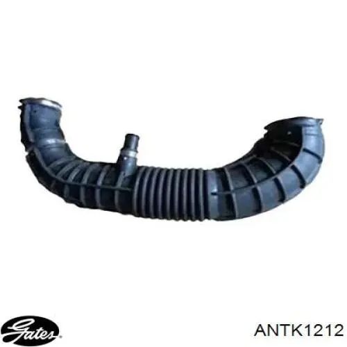 1773615 Ford tubo flexible de aspiración, salida del filtro de aire