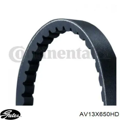 Correa de alternador AV13X650HD Gates
