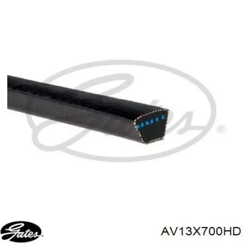 Comprar AV13X700HD Gates Correa trapezoidal