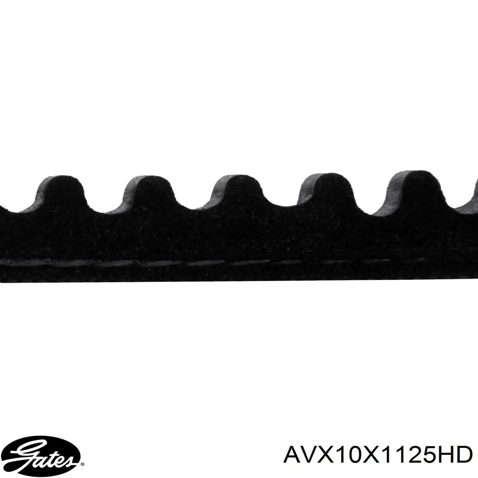 4624736 Fiat/Alfa/Lancia correa trapezoidal