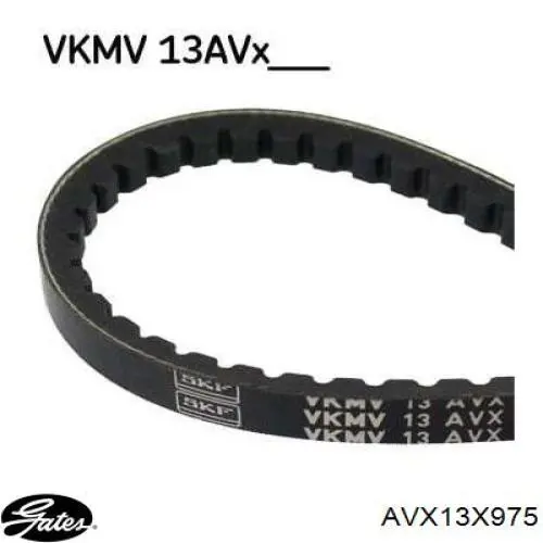 Correa trapezoidal Ford Ranger ET