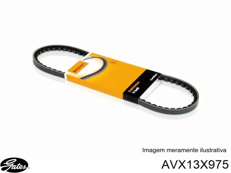 Correa trapezoidal Ford Ranger ET