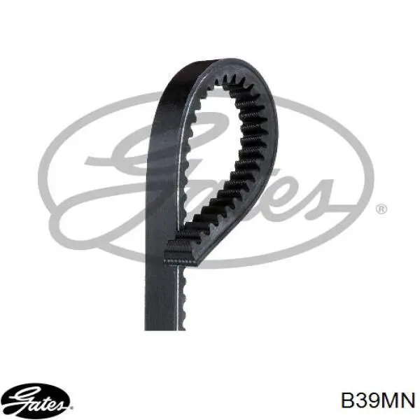 Correa de alternador 17X1000 Continental/Siemens