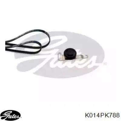 Comprar Q0015956V001000000 Mercedes Correa de transmisión