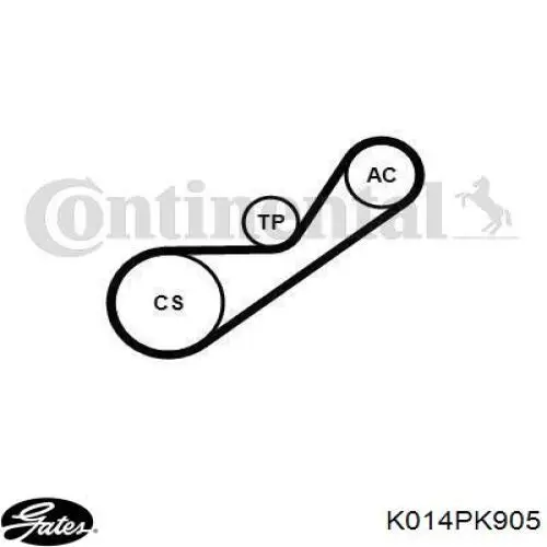 Correa de transmisión Renault (RVI) 8660004954