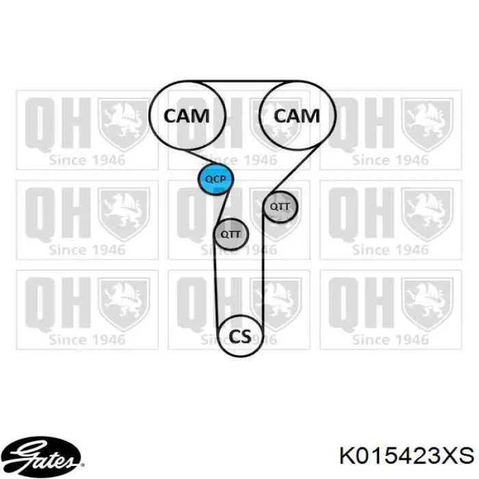 Kit de distribución KTB312 Dayco