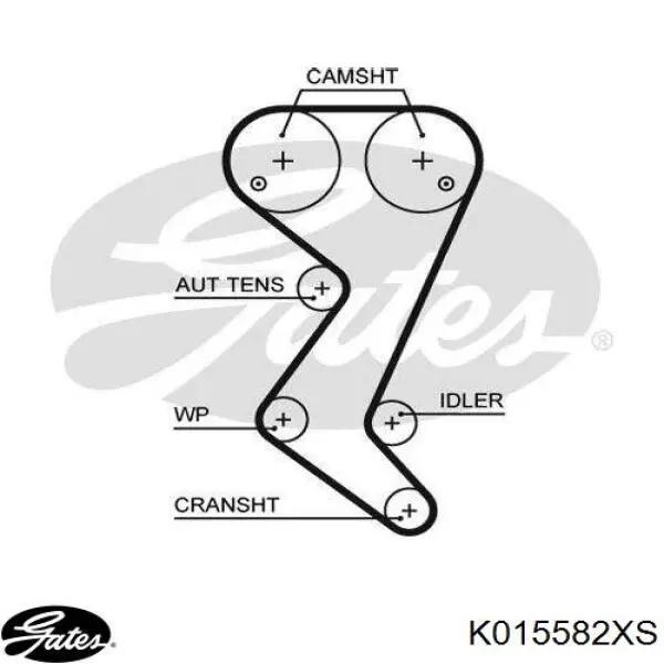 KTB696 Dayco kit correa de distribución