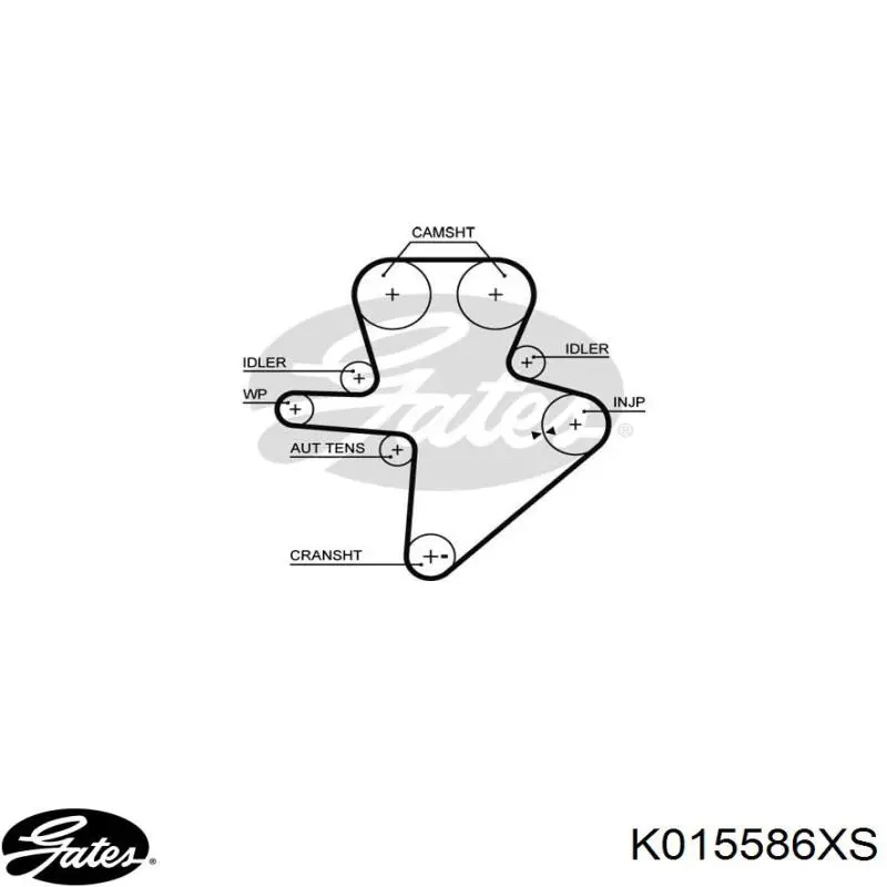 Comprar K015586XS Gates Kit de correa de distribución