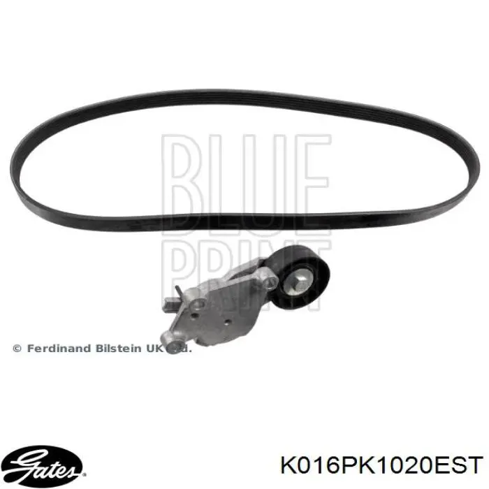 Comprar K016PK1020EST Gates Correa de transmisión