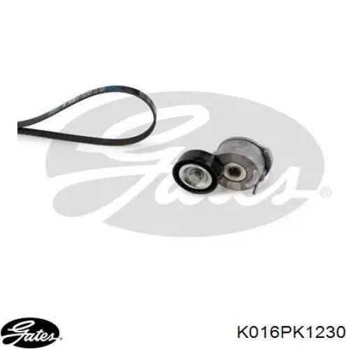 Comprar K016PK1230 Gates Correa de transmisión