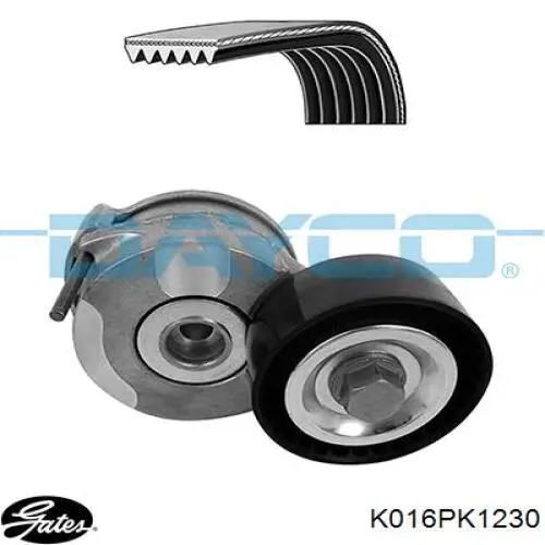 Correa de transmisión, juego Gates K016PK1230 precio, desde 61,04 EUR
