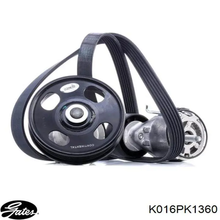 Correa de transmisión, completo Continental/Siemens 6PK1360K1 precio, desde 62,62 EUR