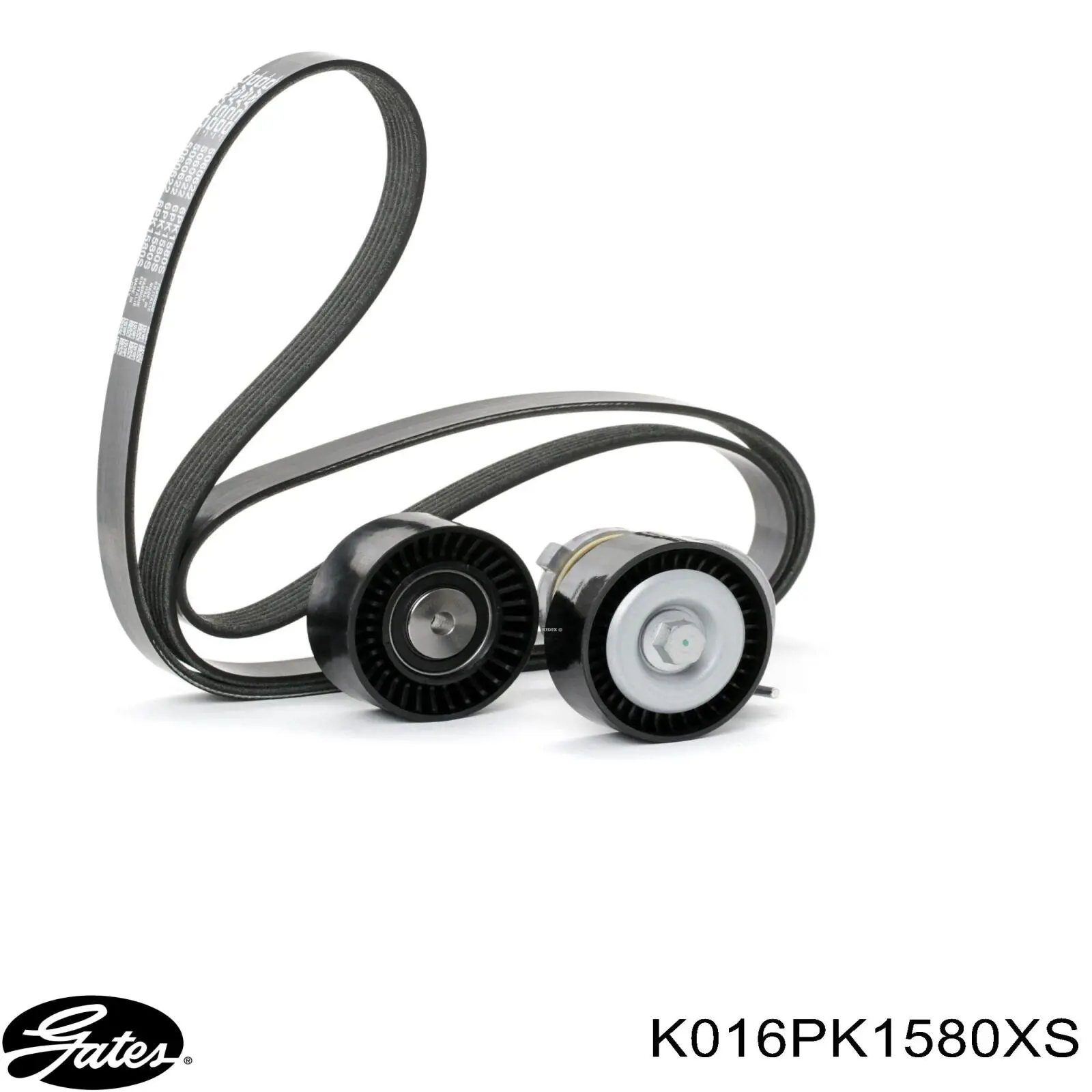 Correa de transmisión, completo Continental/Siemens 6PK1580K1 precio, desde 89,91 EUR
