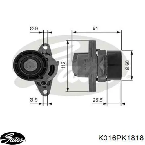 KPV197 Dayco correa de transmisión