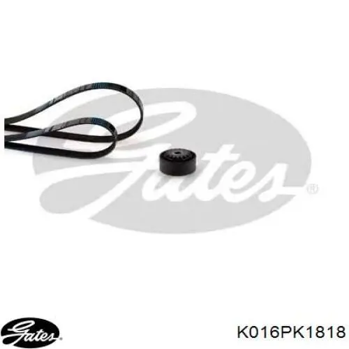 Comprar KPV197 Dayco Correa de transmisión
