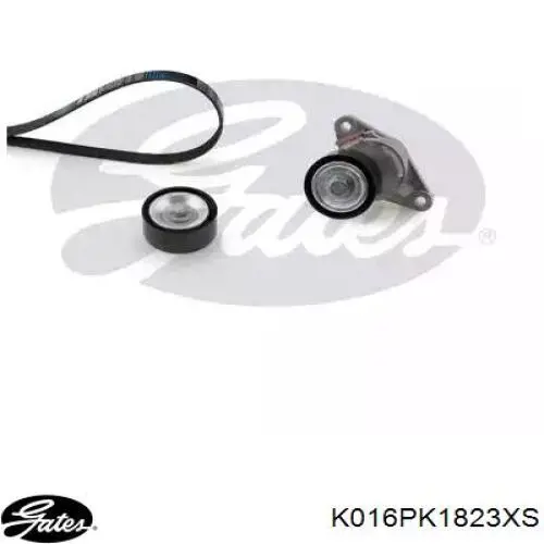 Comprar K016PK1823XS Gates Correa de transmisión