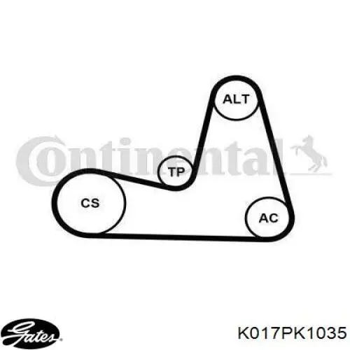 Comprar 8660004387 Renault (RVI) Correa de transmisión