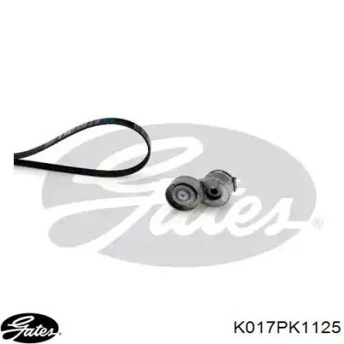 Correa de transmisión, juego Gates K017PK1125 precio, desde 72,51 EUR