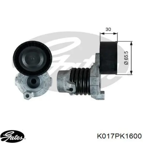 Correa de transmisión, juego Nissan/Infiniti 1172001Q2N precio, desde 92,08 EUR
