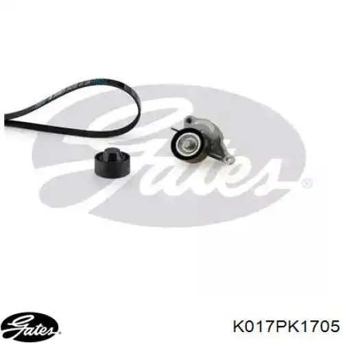 Comprar KPV1143 Dayco Correa de transmisión